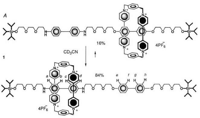 Kinesin_Ring