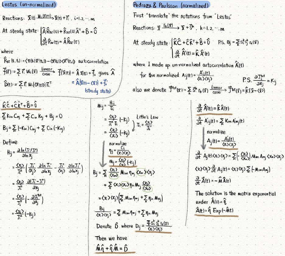 Network_Jump_Complex
